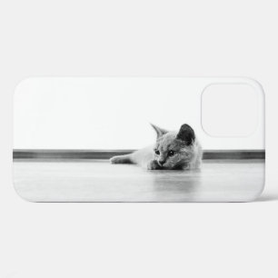 Coques Pour iPhone Scottish Fold Kitten Chat Super mignonne