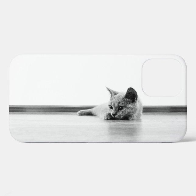 Coques Case-Mate iPhone Scottish Fold Kitten Chat Super mignonne (Verso (horizontal))