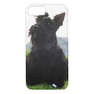 Coque iPhone 7 Scottish_Terrier sitting.png
