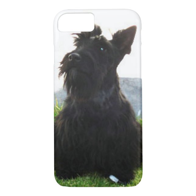 Coques Case-Mate iPhone Scottish_Terrier sitting.png (Dos)