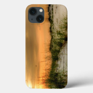 iPhone 13 Coque Seagulls