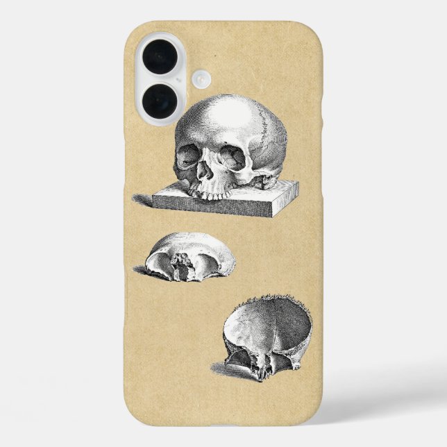 Coques Case-Mate iPhone Section de l'anatomie du crâne humain (Verso)