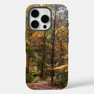 Coques iPhone 16 Pro Sentier ensoleillé d'automne dans le parc d'État L