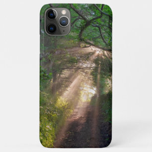Case-Mate iPhone Case sentier forestier