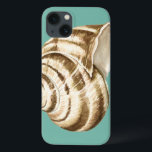 Coque Case-Mate iPhone Sépia Shell rayé sur Teal<br><div class="desc">Megan Meagher est connue pour ses morceaux simples d'art. C'est une grande image d'art décoratif capturant la vie marine avec une coquille rayée de sépia de conque. Obtenez cette copie de beaux-arts aujourd'hui sur la couleur turquoise sur votre produit de Zazzle.</div>