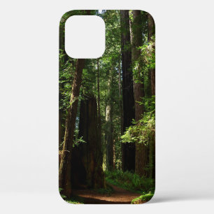 Etui iPhone Case-Mate Séquoias et fougères au parc national de Redwood
