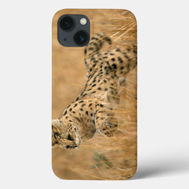 Coques Case-Mate iPhone Serval (Leptailurus Serval) sautant (Verso)
