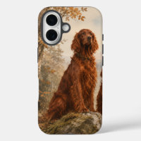  Setter Irlandais  