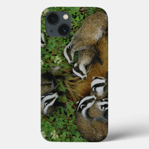 Coques Pour iPhone Setting Out