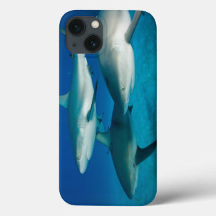Coque Case-Mate iPhone Shark Trio iPad Case