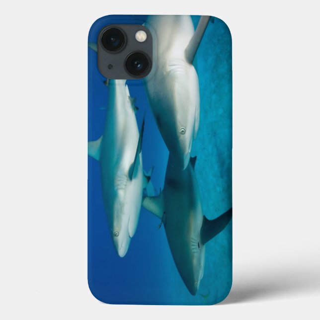 Coques Case-Mate iPhone Shark Trio iPad Case (Verso)