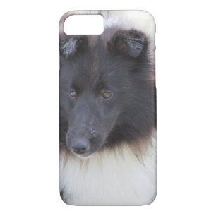 Coque iPhone 7 Sheltie noir et blanc