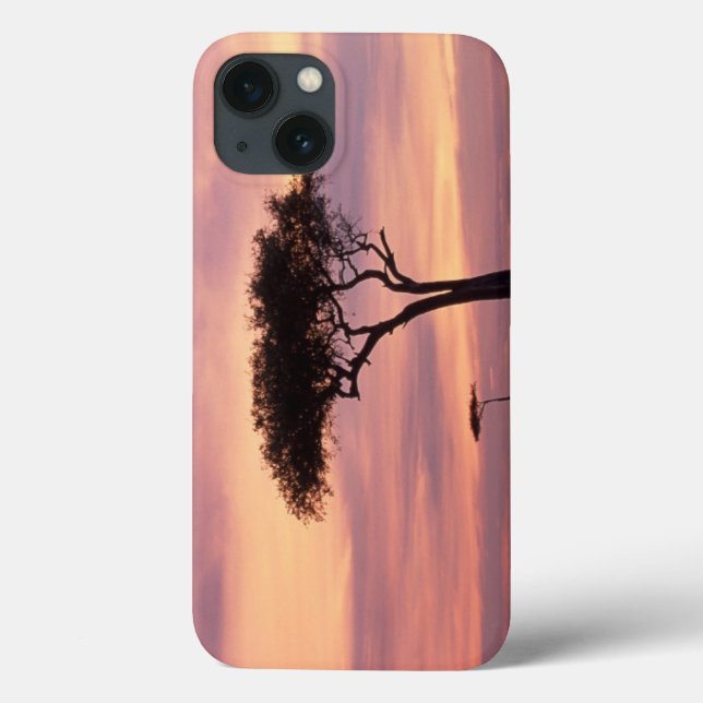 Coques Case-Mate iPhone Silhouette image of acacia tree at sunrise (Verso)