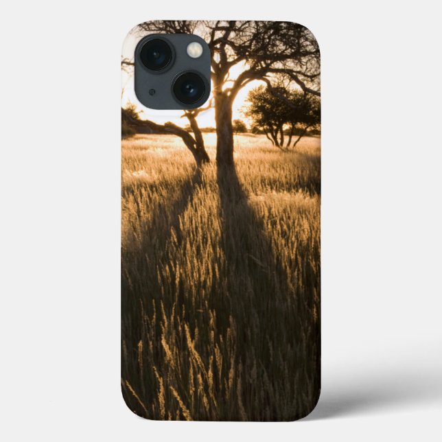 Coques Case-Mate iPhone Silhouette Of Acacia Trees In Grass. Mariental (Verso)