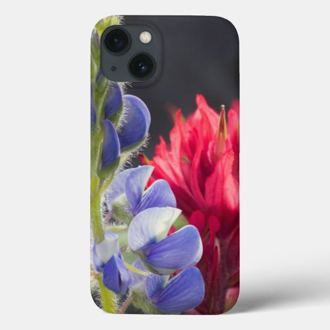 Coques Case-Mate iPhone Silvery Lupine, Lavender Paintbrush (Verso)