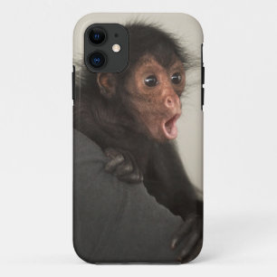 Etui iPhone Case-Mate Singe araignée à face rouge Ateles paniscus)