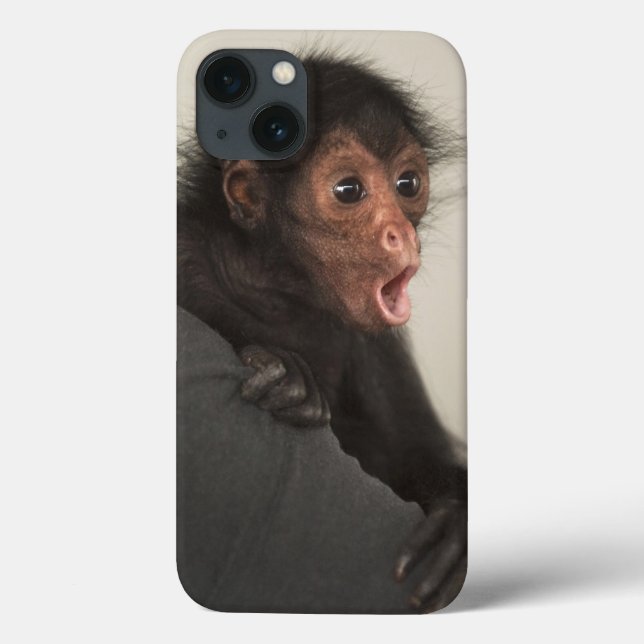 Coques Case-Mate iPhone Singe araignée à face rouge Ateles paniscus) (Verso)
