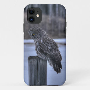 Coque iPhone 11 Sitting Great Grey Owl Faune Portrait III
