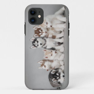 Etui iPhone Case-Mate Six huskies
