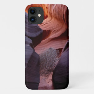 Coque Case-Mate iPhone Slot Canyon Tumbleweed Southwest Abstract 