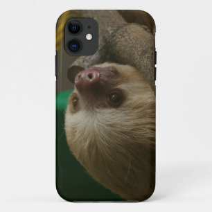 Etui iPhone Case-Mate Sloth