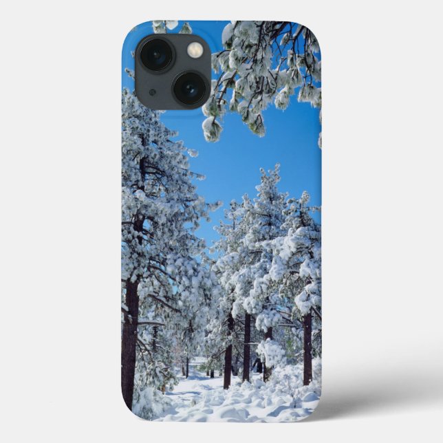 Coques Case-Mate iPhone Snow-covered trees in the Laguna Mountains (Verso)