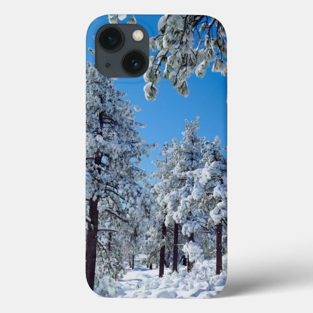 Coques Case-Mate iPhone Snow-covered trees in the Laguna Mountains (Verso)