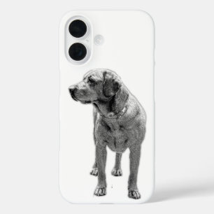 Coque Pour iPhone 16 Solide, armure quotidienne