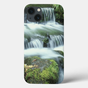 iPhone 13 Case Source aux fougères, Parc national de Yosemite