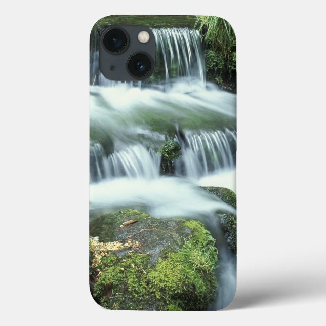 Coques Case-Mate iPhone Source aux fougères, Parc national de Yosemite (Verso)