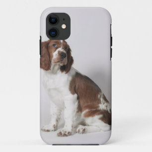 Etui iPhone Case-Mate Springer spaniel