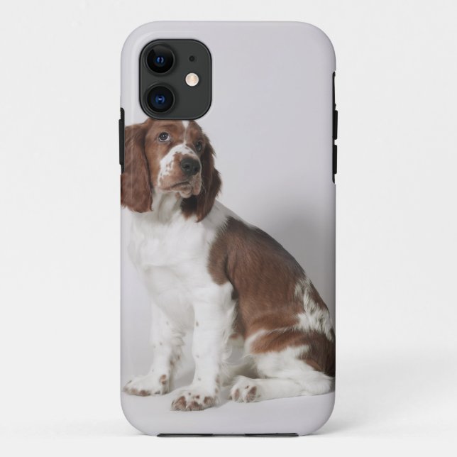 Coques Case-Mate iPhone Springer spaniel (Dos)