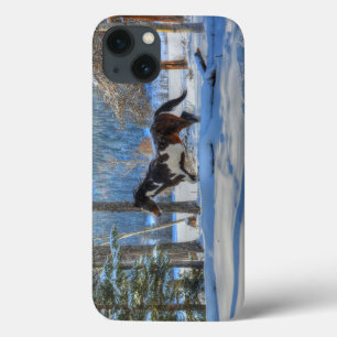 Etui iPhone 13 Stallion Pinto Paint & Neige d'hiver