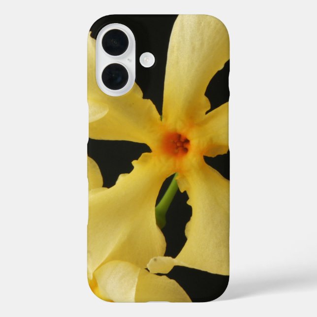 Coques Case-Mate iPhone Star Jasmine Flower iphcna (Verso)