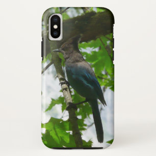 Coque iPhone X Steller's Jay dans le parc national de Yosemite