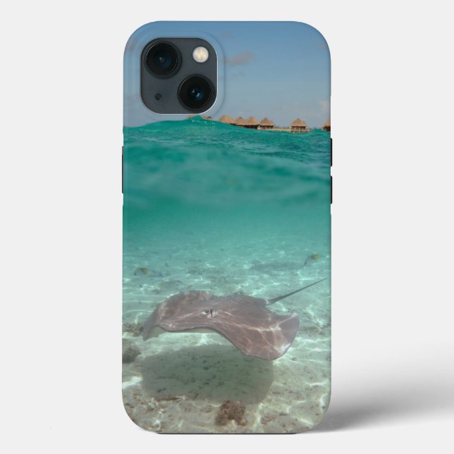 Coques Case-Mate iPhone Stingray sous l'eau dans la couverture de l'iphone (Verso)