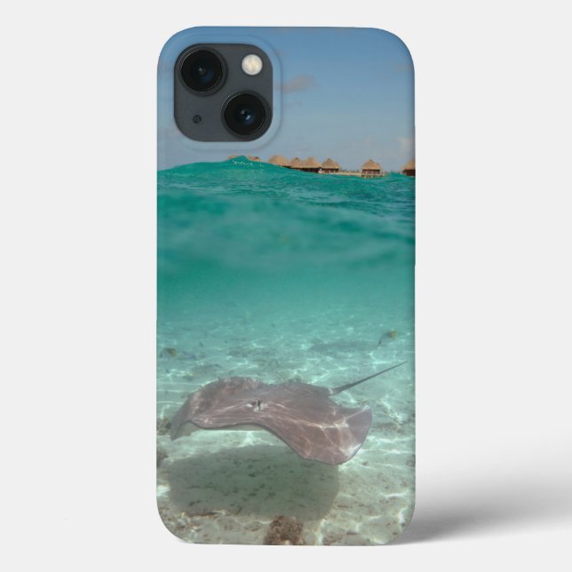 Coques Case-Mate iPhone Stingray underwater in Bora Bora iPad case (Verso)
