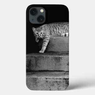 iPhone 13 Case Stray Cat sur Stairs