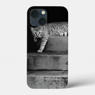 Coques Pour iPhone Stray Cat sur Stairs