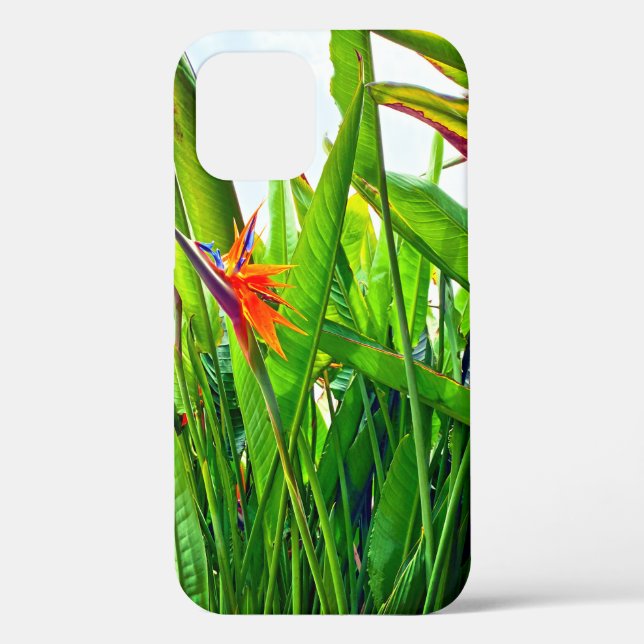 Coques Case-Mate iPhone Strelitzia Reginae & Feuilles (Verso)