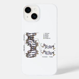 Coque Case-Mate iPhone Structure de l'ADN Diagramme des bases acides déso