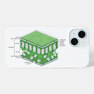 Coque Case-Mate iPhone Structure tissulaire de la feuille Diagramme de la