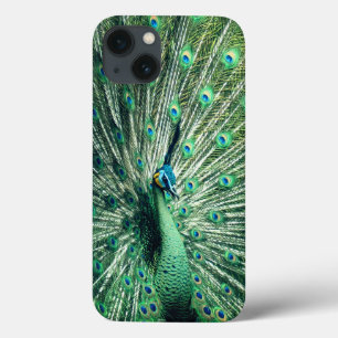 Case-Mate iPhone Case Strut Peacock