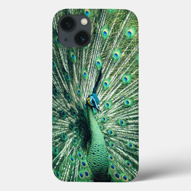 Coques Case-Mate iPhone Strut Peacock (Verso)