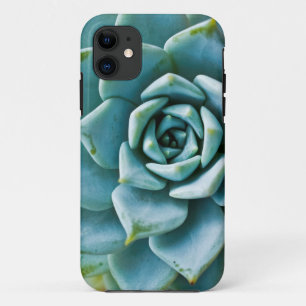 Coque iPhone 11 Succulent