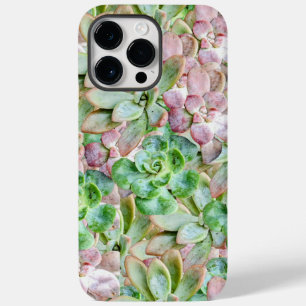 Coque Case-Mate iPhone Succulent coloré