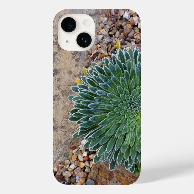 Coques Case-Mate iPhone Succulent plante du désert (Verso)