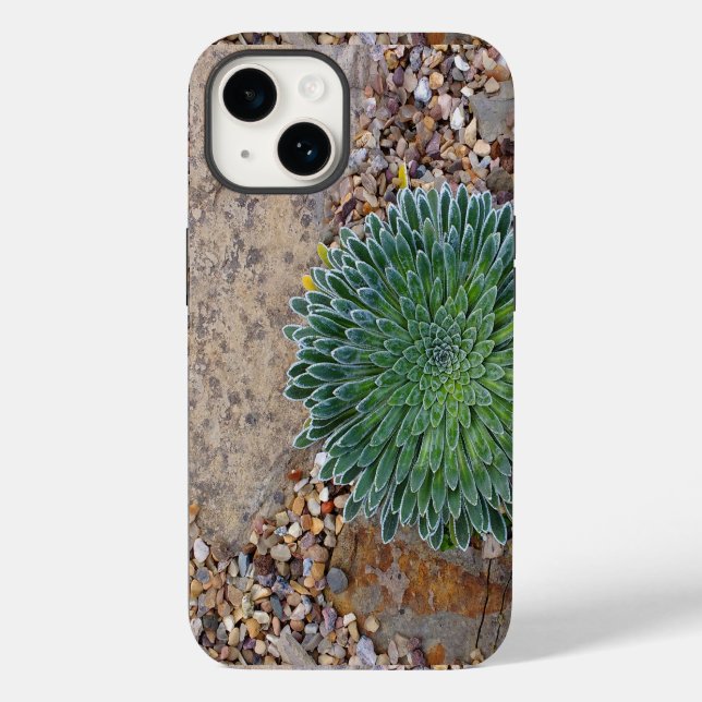 Coques Case-Mate iPhone Succulent plante du désert (Verso)