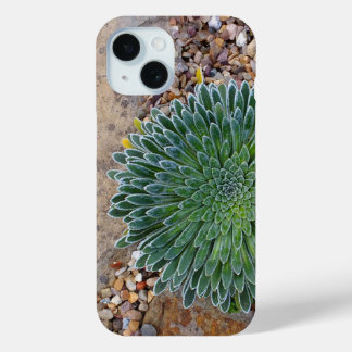 Coque Case-Mate iPhone Succulent plante du désert