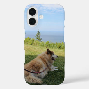 Coque Pour iPhone 16 Suka Profitant Du Cap George